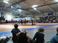 2008 Roller Derbies